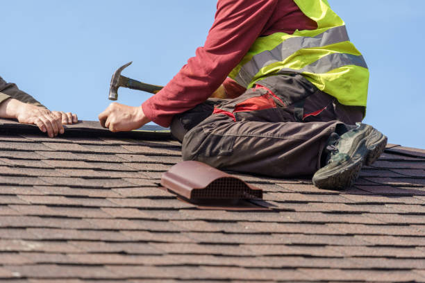 Best Roof Gutter Cleaning  in Briar Chapel, NC